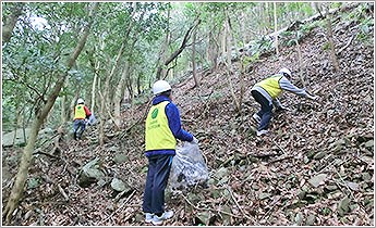 かなりの急斜面