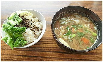 有機野菜たっぷりの昼食