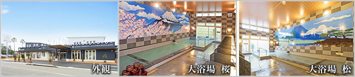 青島フィッシャーマンズビーチサイドホステル&スパ 神話の湯(宮崎市)