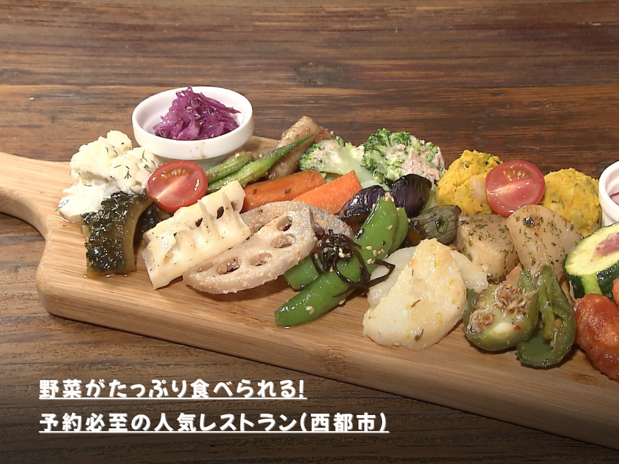 野菜がたっぷり食べられる！予約必至の人気レストラン（西都市）
