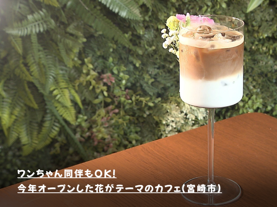 ワンちゃん同伴もOK！今年オープンした花がテーマのカフェ（宮崎市）