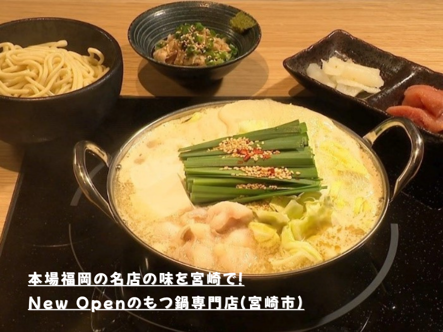 本場福岡の名店の味を宮崎で！New Openのもつ鍋専門店（宮崎市）