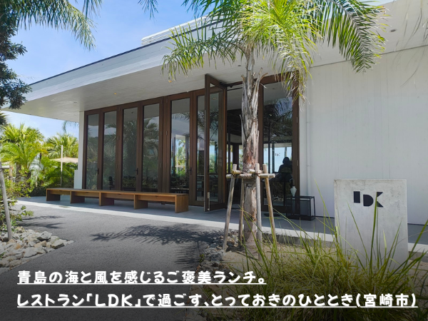 青島の海と風を感じるご褒美ランチ。レストラン「LDK」で過ごす、とっておきのひととき(宮崎市）