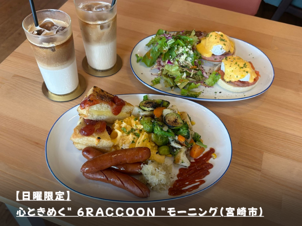 【日曜限定】心ときめく” 6RACCOON “モーニング