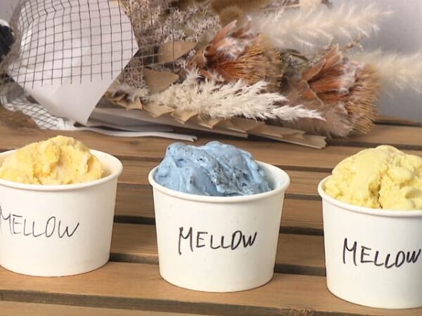 会社員をしながら夢を実現　こだわり食材の手作りアイス店「MELLOW」(宮崎市)
