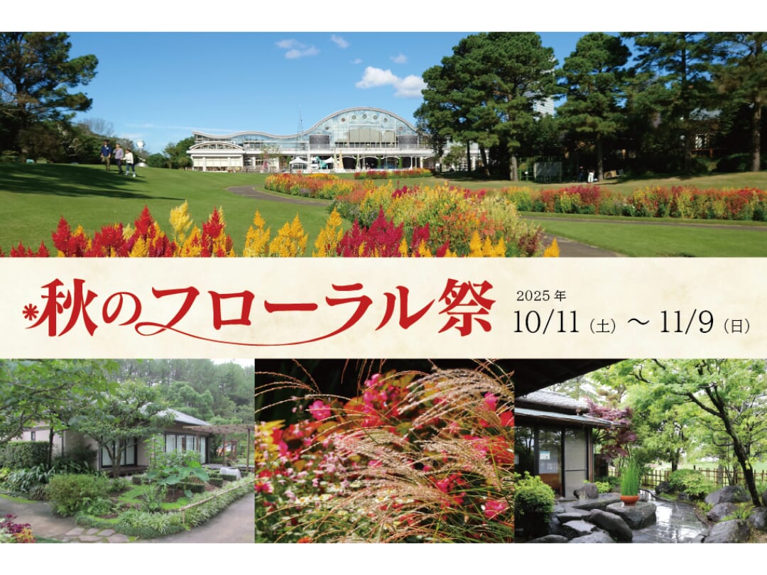 2025年10月11日(土)~11月9日(日)フローランテ宮崎にて「秋のフローラル祭」開催！