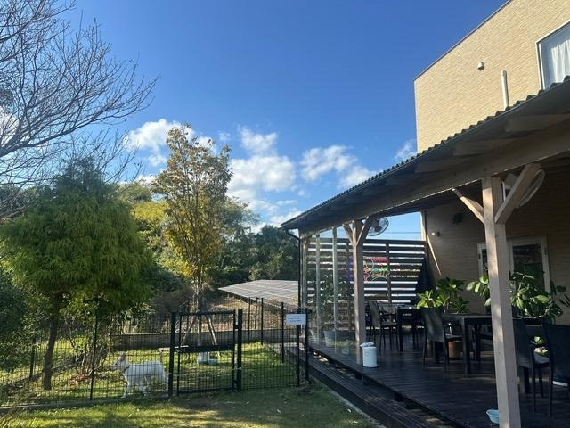 ランチはもちろん、宿泊もできちゃう観光やレジャーにオススメの穴場施設「SWELL」(日向市)