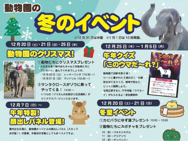 【宮崎おでかけ】冬休みはイベント盛りだくさんのフェニックス自然動物園で遊び尽くそう🐘♩