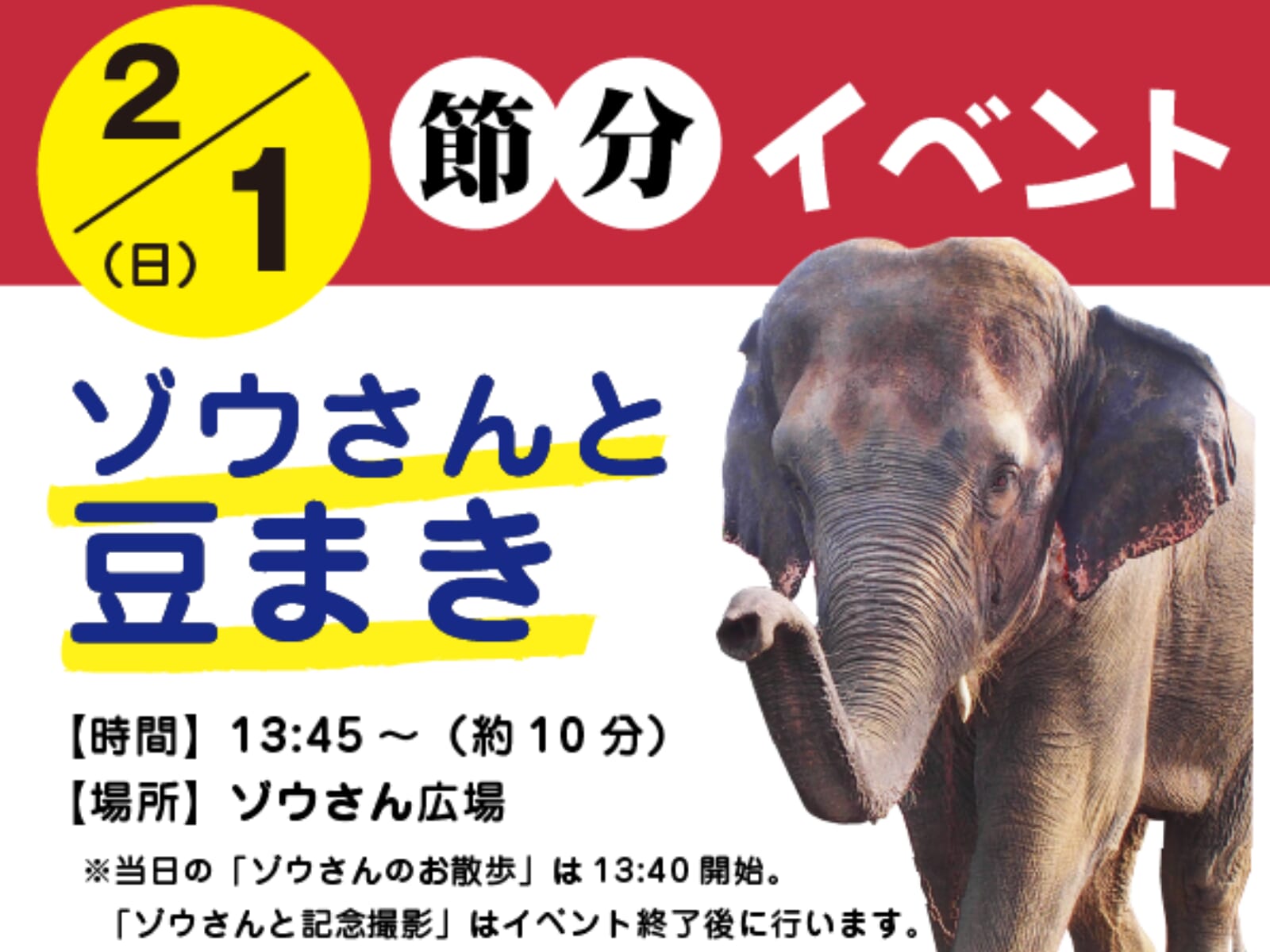 【2026 宮崎イベント】2月1日(日)フェニックス自然動物園にて節分イベント「ゾウさんと豆まき」開催！