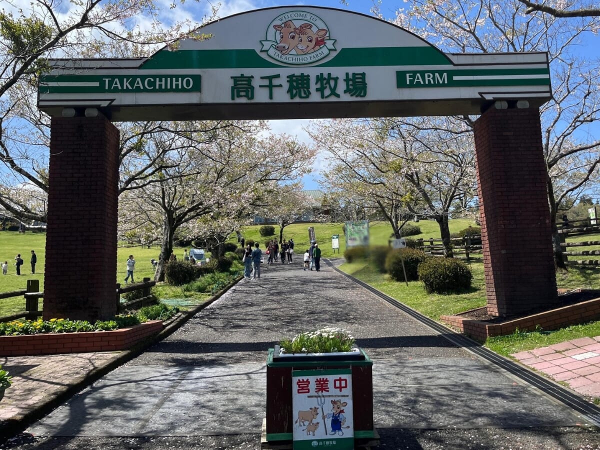 高千穂牧場を遊び尽くす！絶品グルメ・体験・景色を満喫するには？（都城市）