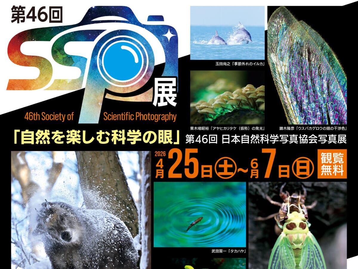 【2026 宮崎イベント】6月7日(日)まで！宮崎県総合博物館にて「第46回SSP展」開催中！（宮崎市）