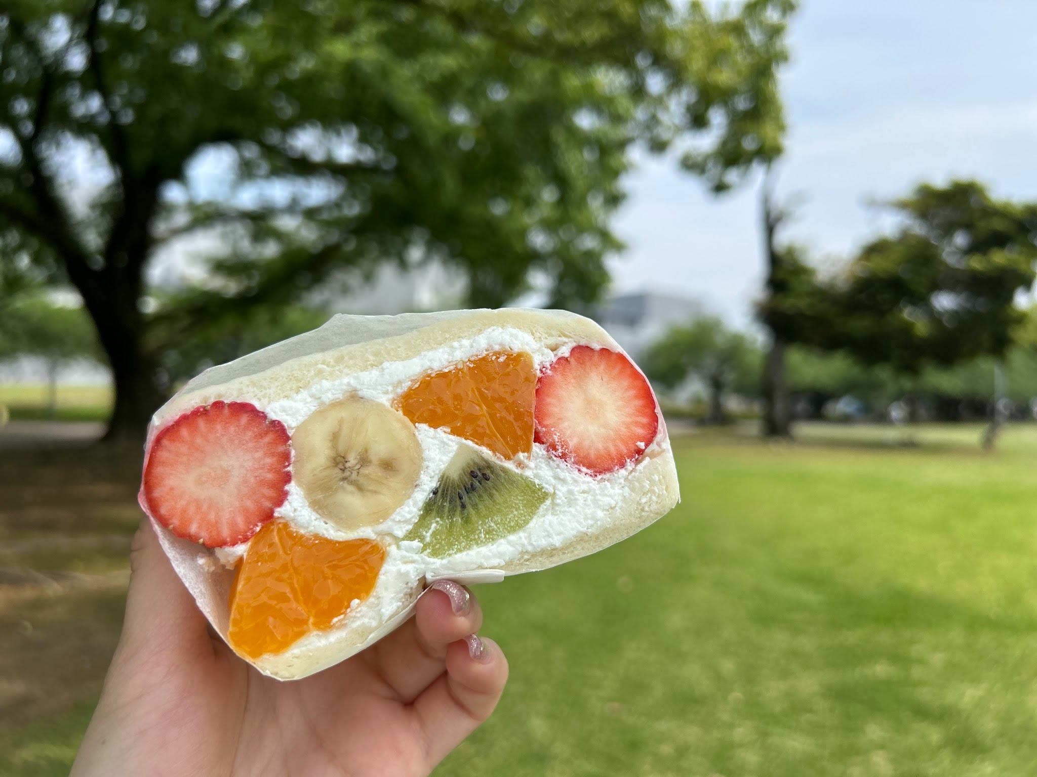 【思わず写真が撮りたくなる】彩りサンドが人気の ” SANDWICH PLUS “（宮崎グルメ）