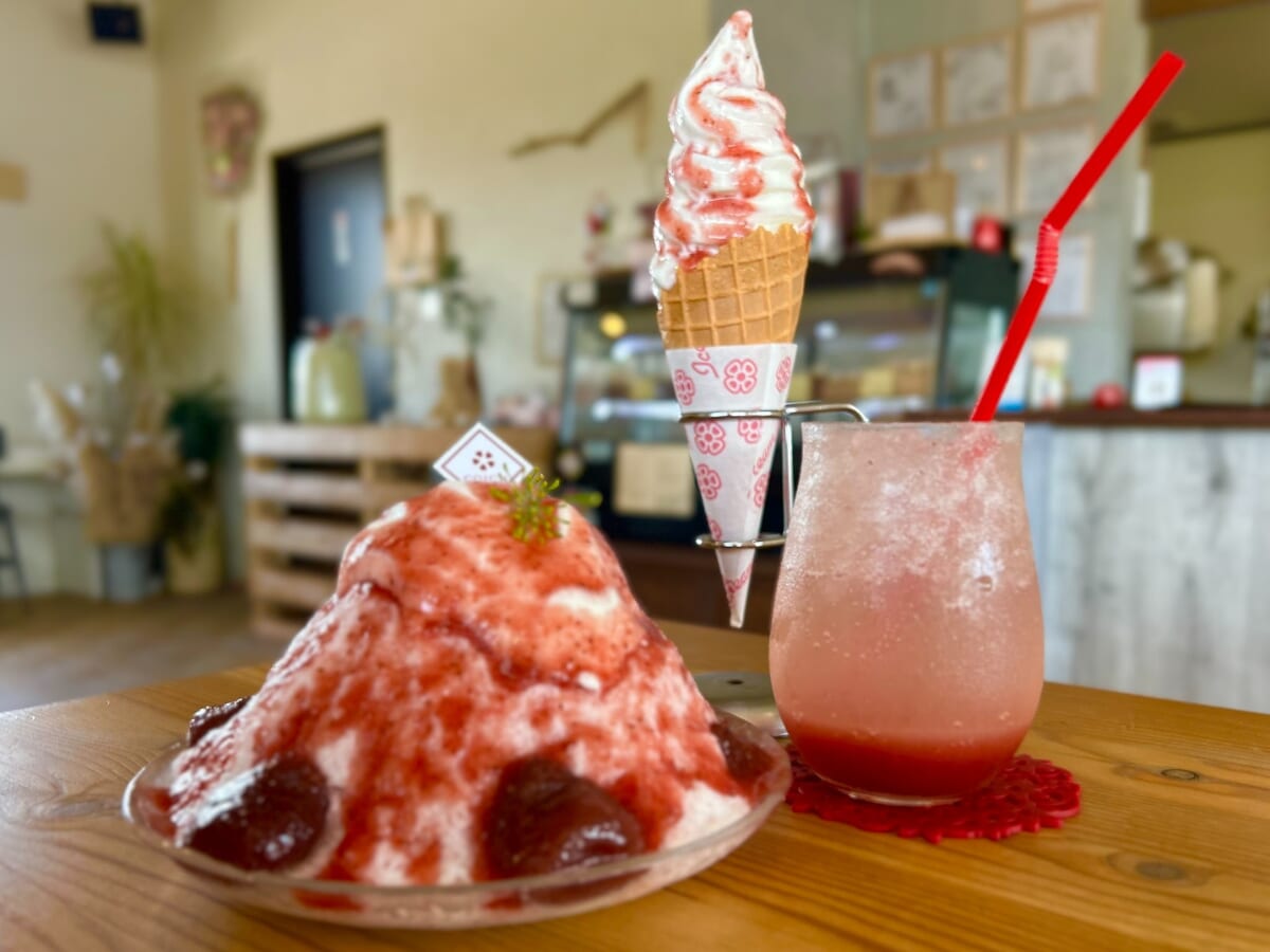 この夏見逃せない！COICH CAFEにふわふわ贅沢かき氷が登場！（宮崎グルメ）