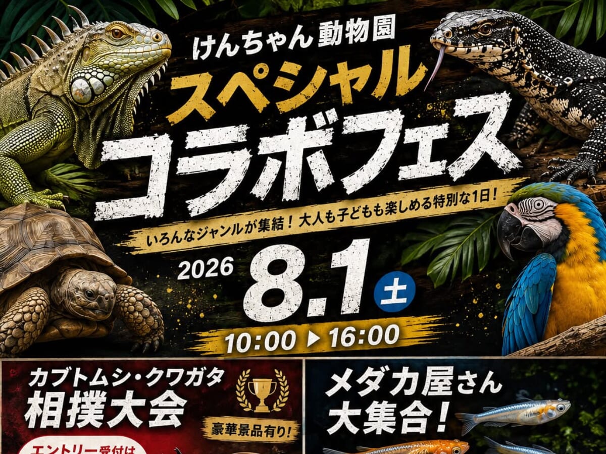 【2026宮崎イベント】8月1日(土)けんちゃん動物園にて「けんちゃん動物園 スペシャルコラボフェス」開催！（延岡市）