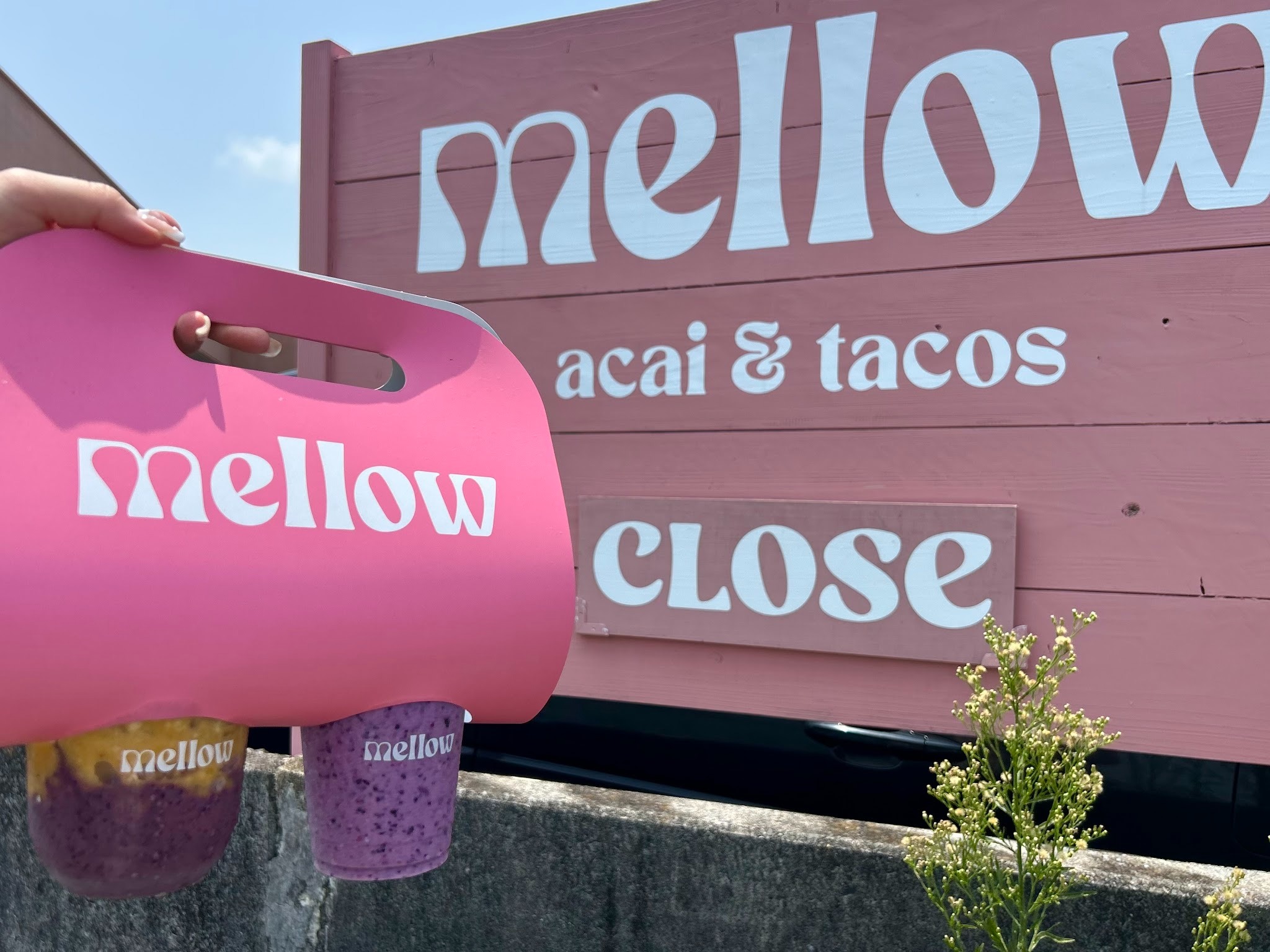 アサイー好き必見！ワンちゃんと過ごせる「 MELLOW CAFE 」