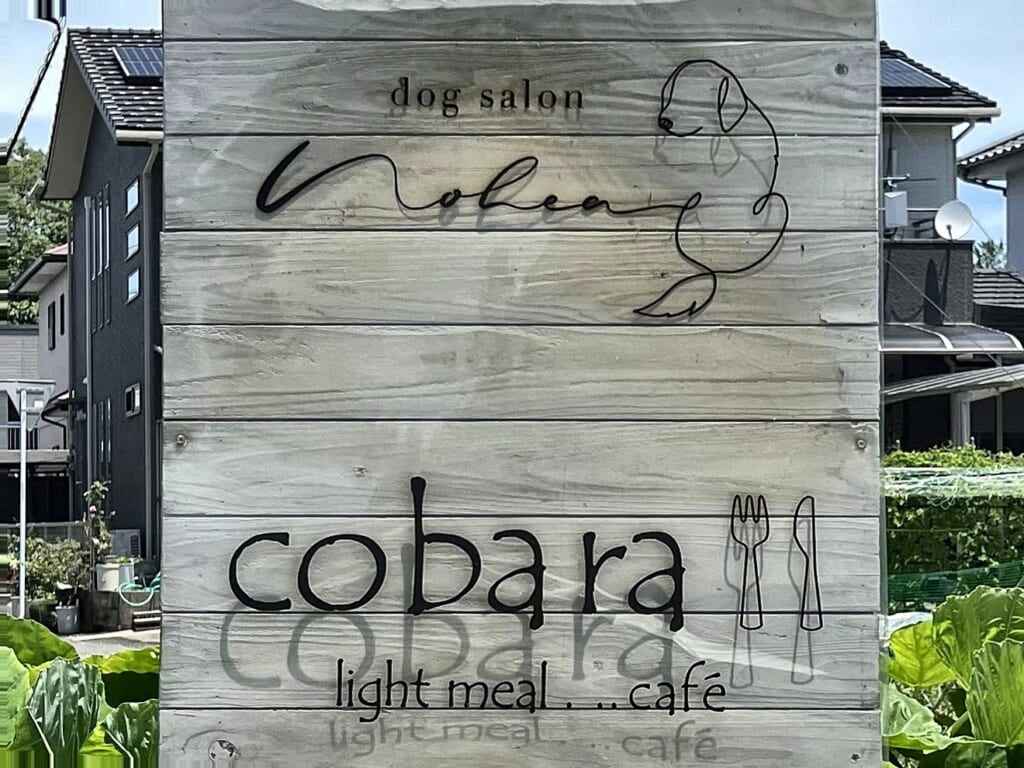 緑に囲まれたコンテナカフェで小腹をみたす、ドッグラン併設「cobara」(宮崎市) image