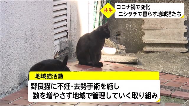 宮崎ニュースumk Umkテレビ宮崎