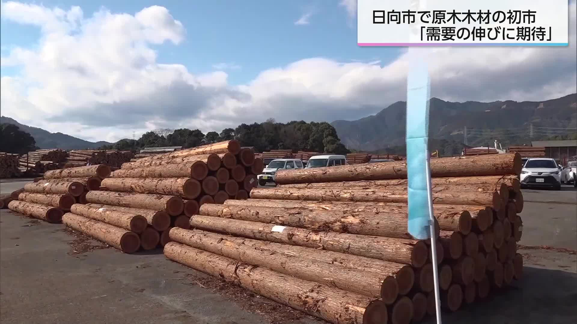 需要の伸びに期待」日向市で木材の初市 価格は1立方メートルあたり1
