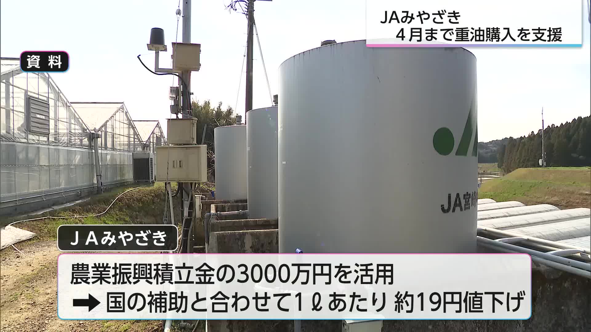 旬のマンゴー・新茶の季節を前に JAみやざきが農家向けに重油代を支援 