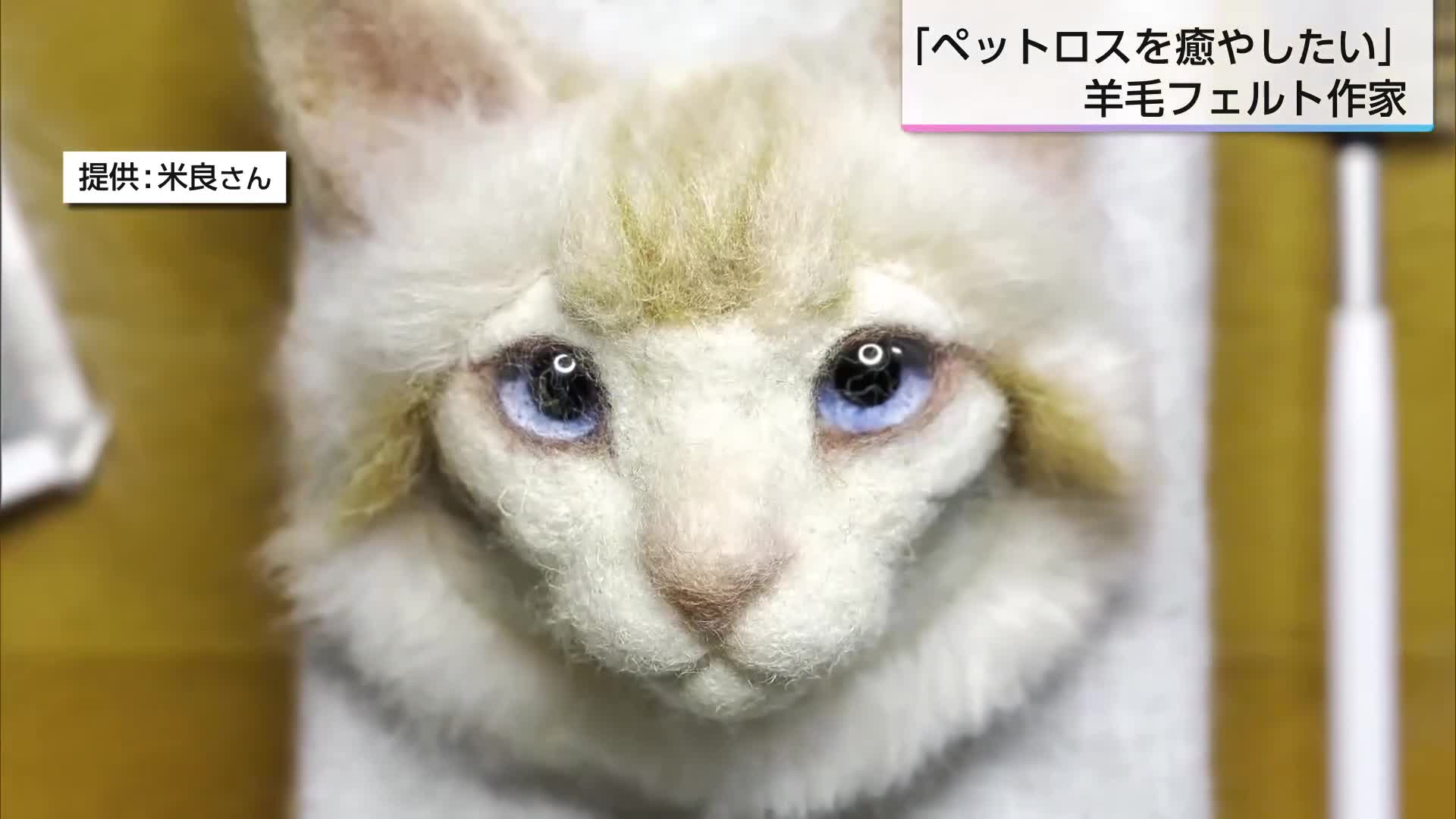 特集】亡きペットを思い出に残す羊毛フェルト作家｜ニュース｜UMK