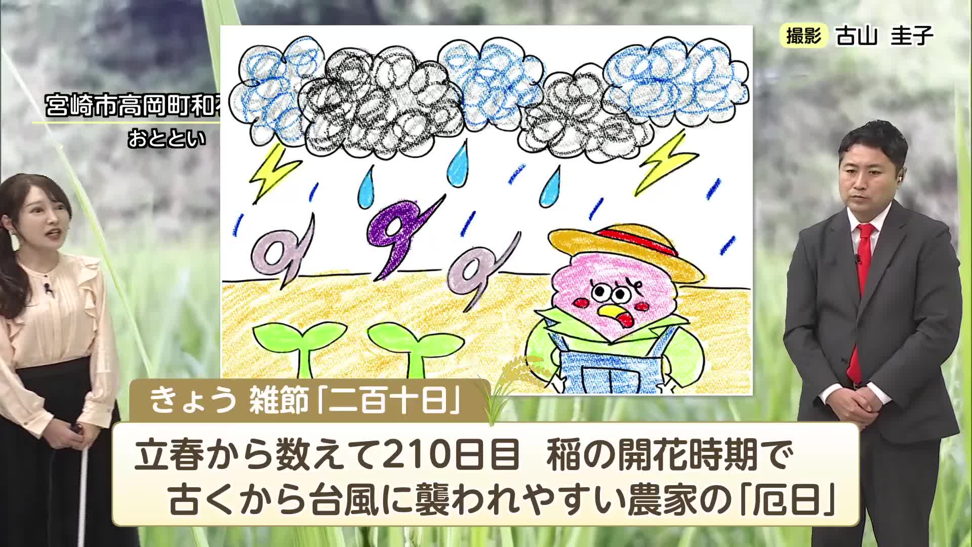 umk テレビ 宮崎