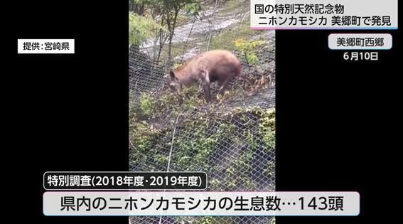 画像14.jpg
