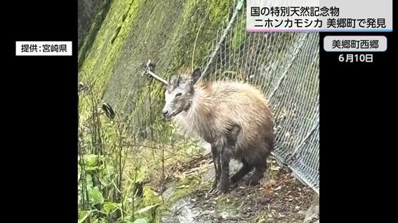 画像9.jpg