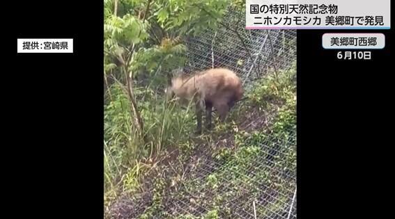 画像12.jpg