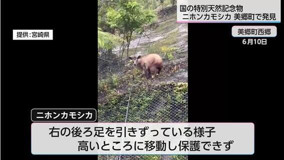 画像11.jpg