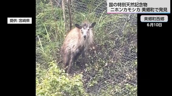 画像13.jpg
