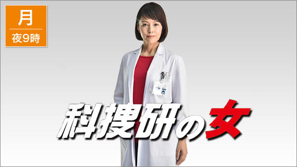 科捜研の女
