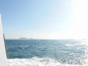 181227イルカのいない海.jpg