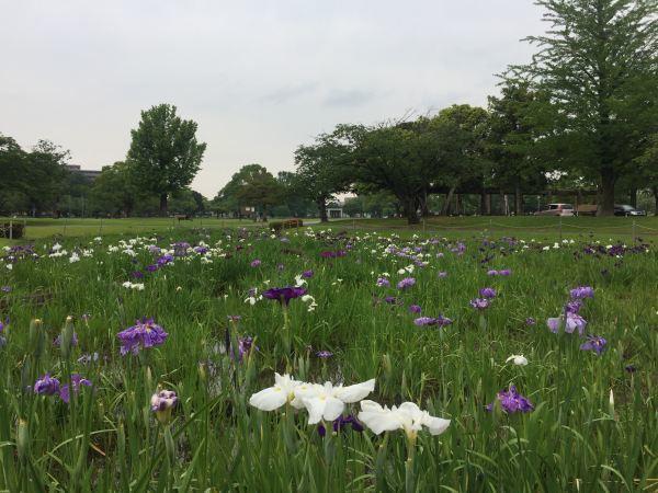 190531文化公園.jpg