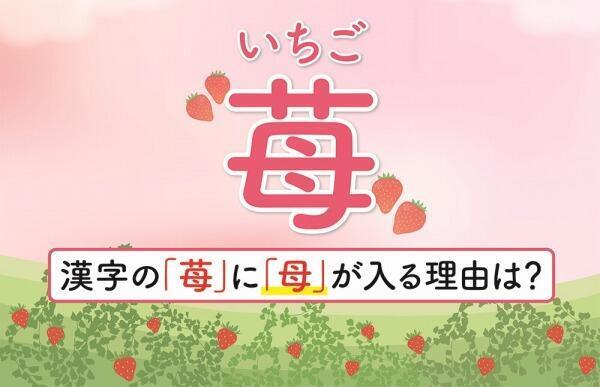 230127苺の成り立ちフリップ.jpg
