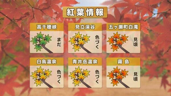 231102紅葉情報.jpg