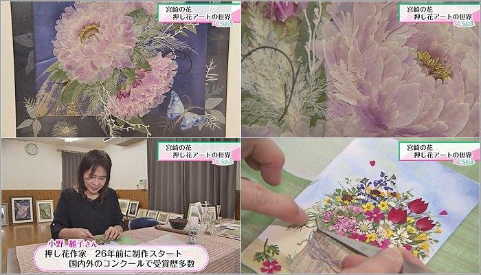 宮崎の花 押し花アートの世界（2019年10月22日放送）｜Reらいふ｜UMK 