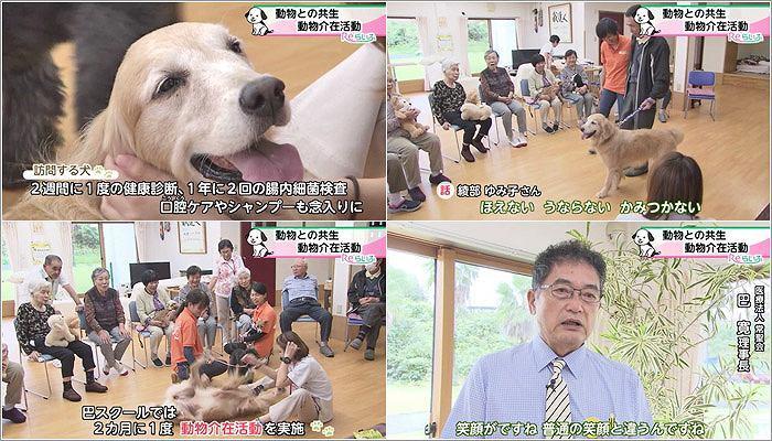 05 訪問する犬のケア／巴院長