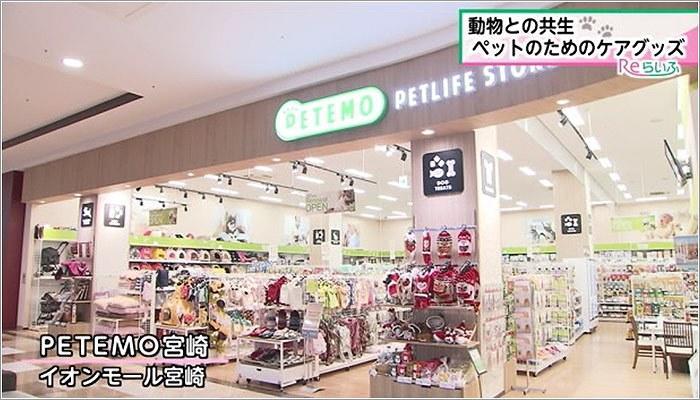 01 PETEMO宮崎