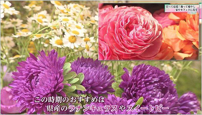 09 おすすめの花