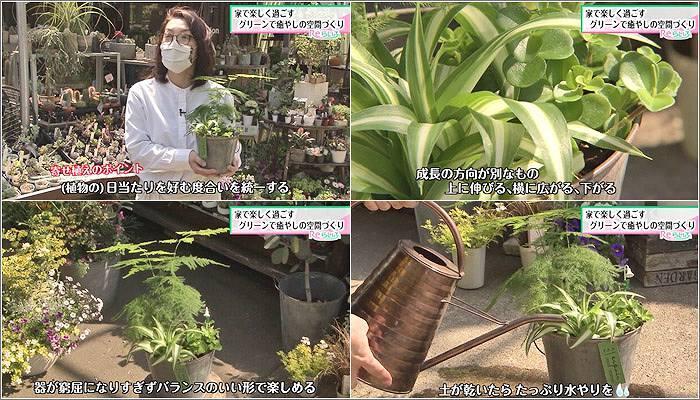 03 寄せ植えのポイント