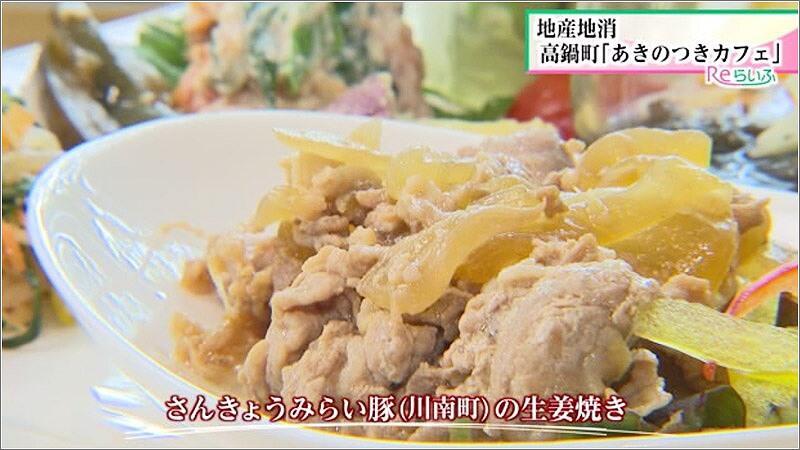 04 さんきょうみらい豚（川南町）の生姜焼き