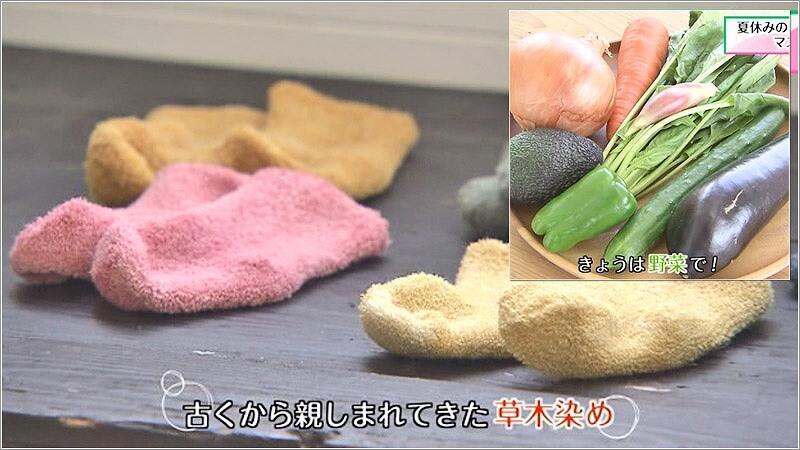 夏休みの自由研究 マスクを野菜染め 年08月18日放送 Reらいふ Umkスーパーニュース Umkテレビ宮崎