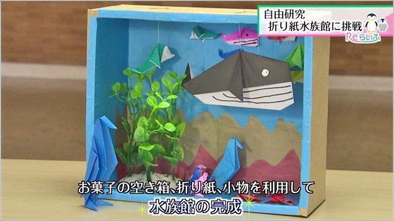 夏休みの自由研究 折り紙水族館に挑戦 年08月日放送 Reらいふ Umkスーパーニュース Umkテレビ宮崎