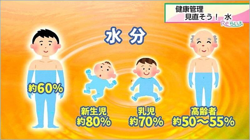 03 人間の体の水分量