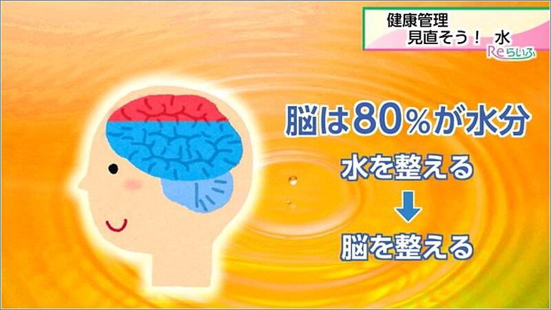 04 脳の水分量