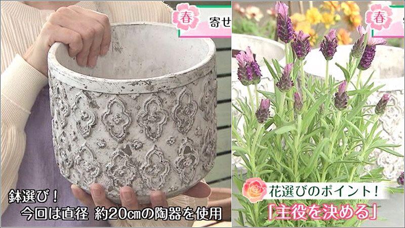 03 寄せ植えの準備