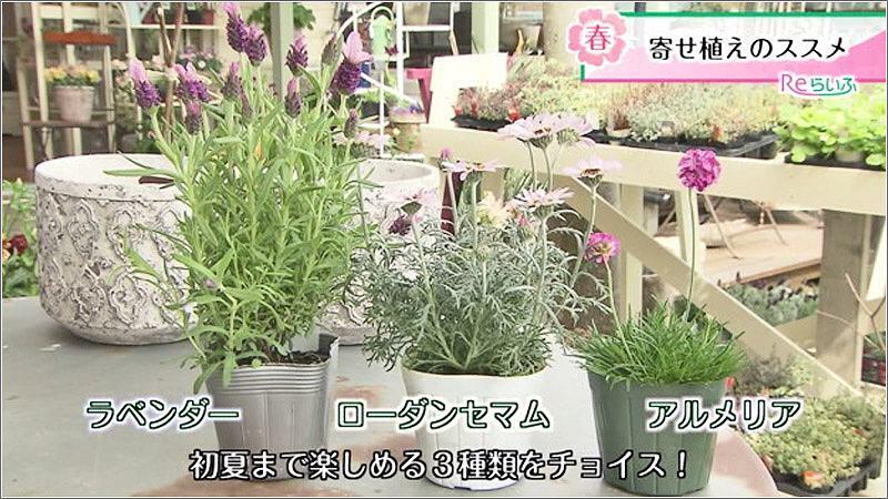 04 合わせる花の選択