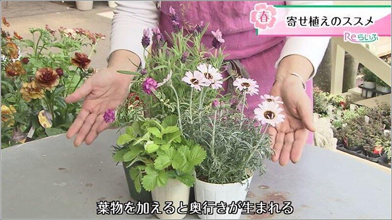 05 寄せ植え 1