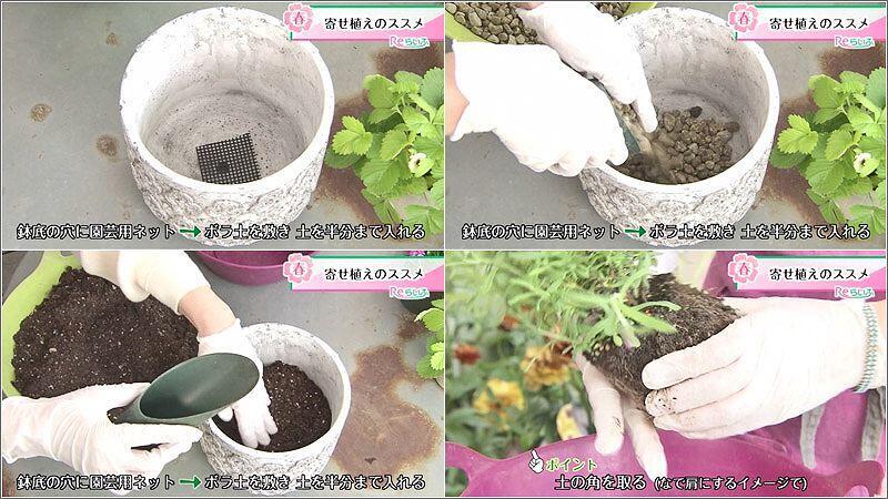 06 寄せ植え 2