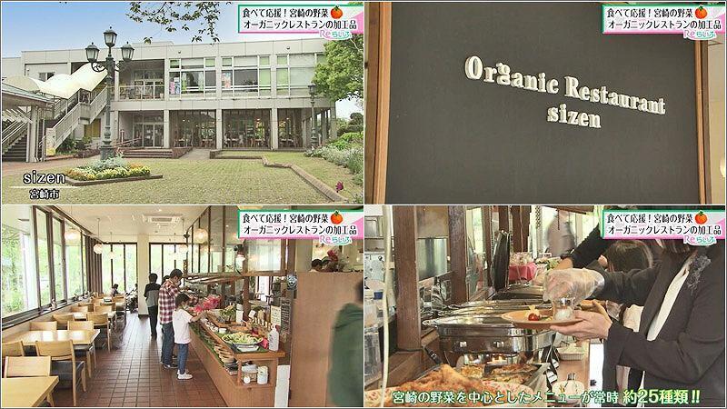 01 シゼン